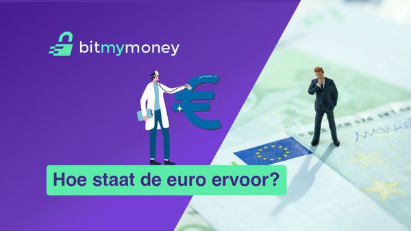 Steeds sneller arm met de euro