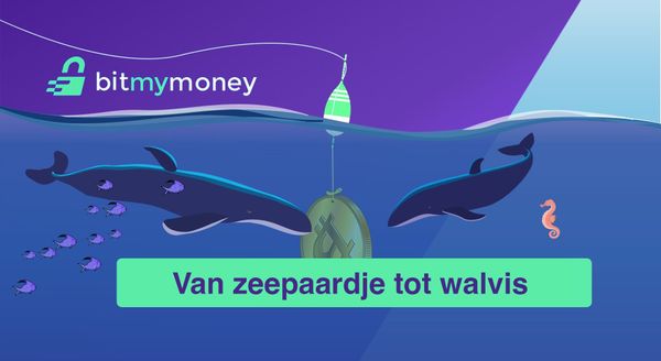 Volg je Bitcoinreis