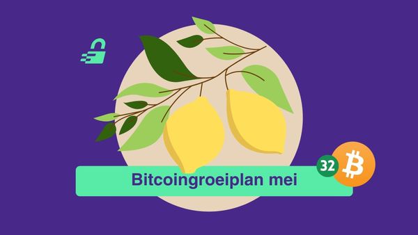 Satoshi's rekening: De koers veert op