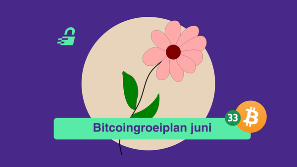 Satoshi's rekening: Een stapje terug