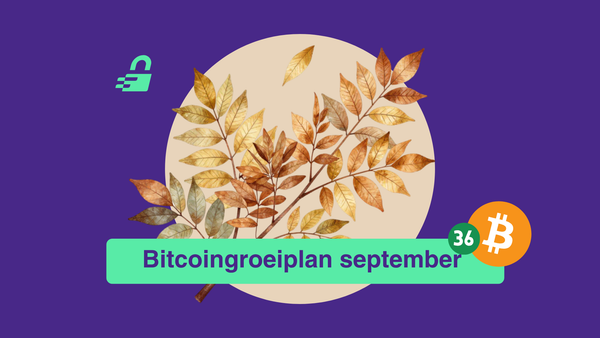 Satoshi's rekening: Groene cijfers
