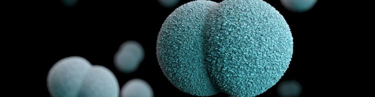 Copying multi-arch image from DockerHub to Quay.io