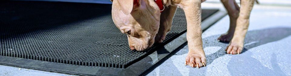 Sniffing traffic on a pod in Kubernetes/OpenShift