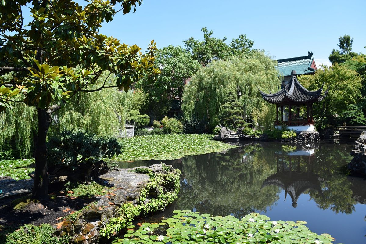 Lima Oasis Pemburu Keheningan di Jantung Kota Vancouver