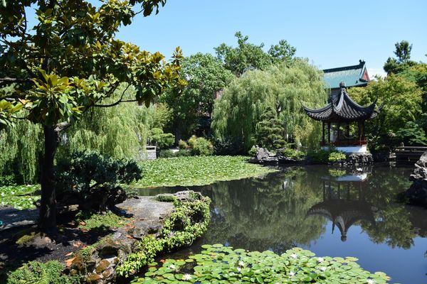Lima Oasis Pemburu Keheningan di Jantung Kota Vancouver