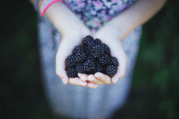 Blackberry, Si Hitam Manis