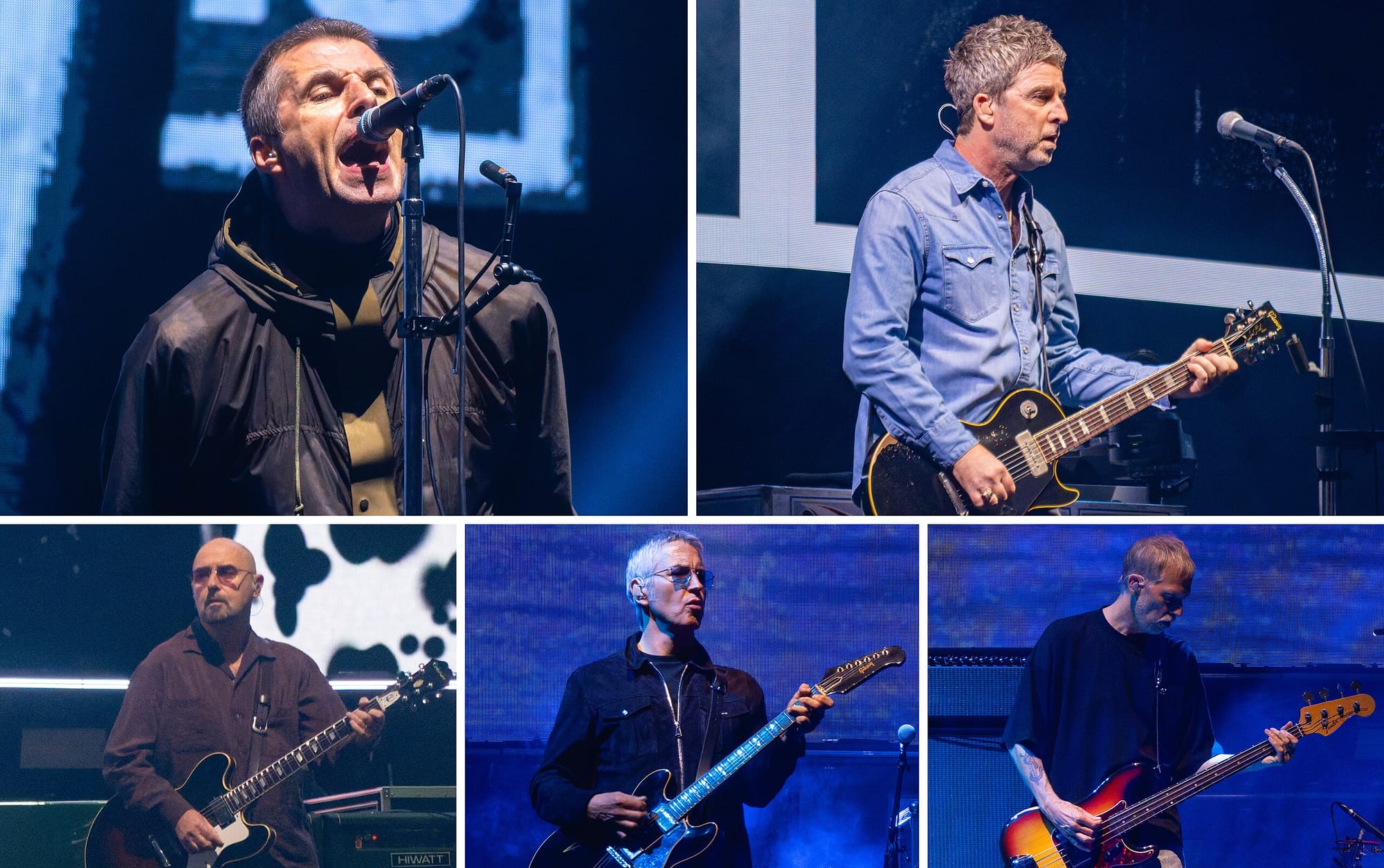 Five individual pictures of the members of Oasis. From Wikipedia.