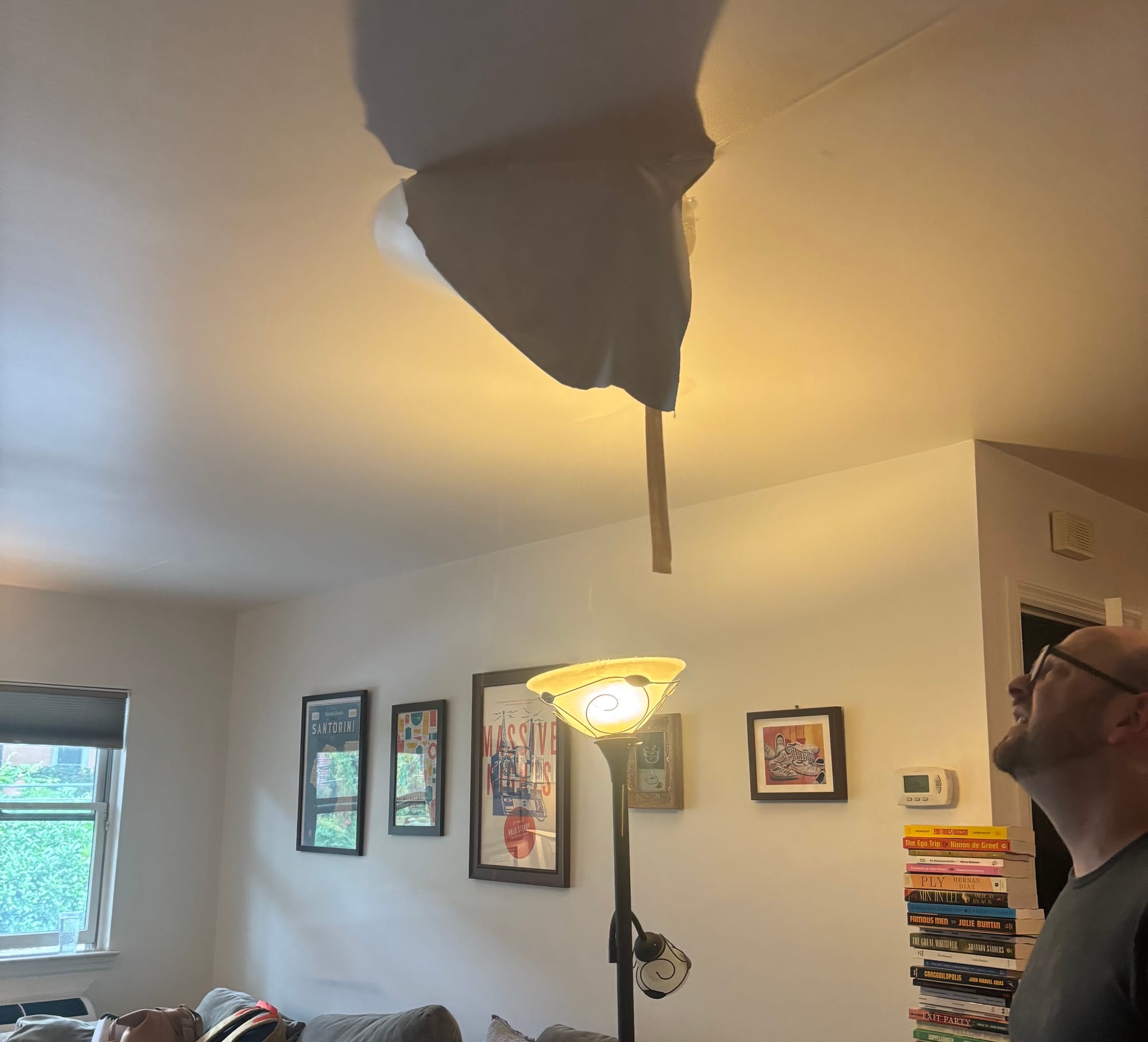 Burst ceiling zit with lamp and some art and books in the background.