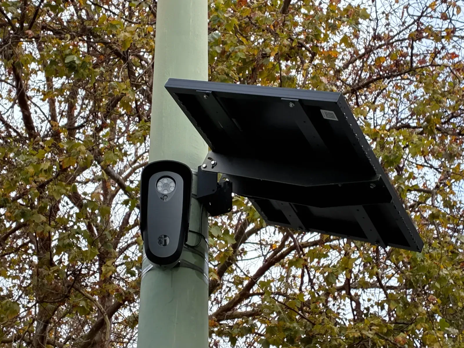 Photo of a Flock ALPR camera setup on a lamp post with trees in the background. (Photo from The Oaklandside)