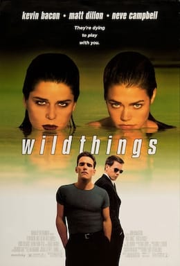 Key art for the film Wild Things.
