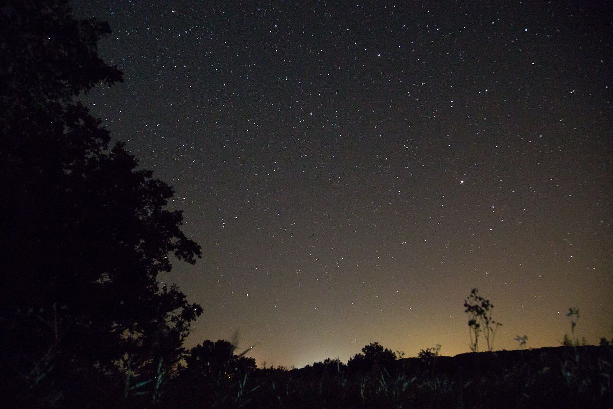 Photo of the night sky with shadows of trees in the background. LOTS of visible stars.
