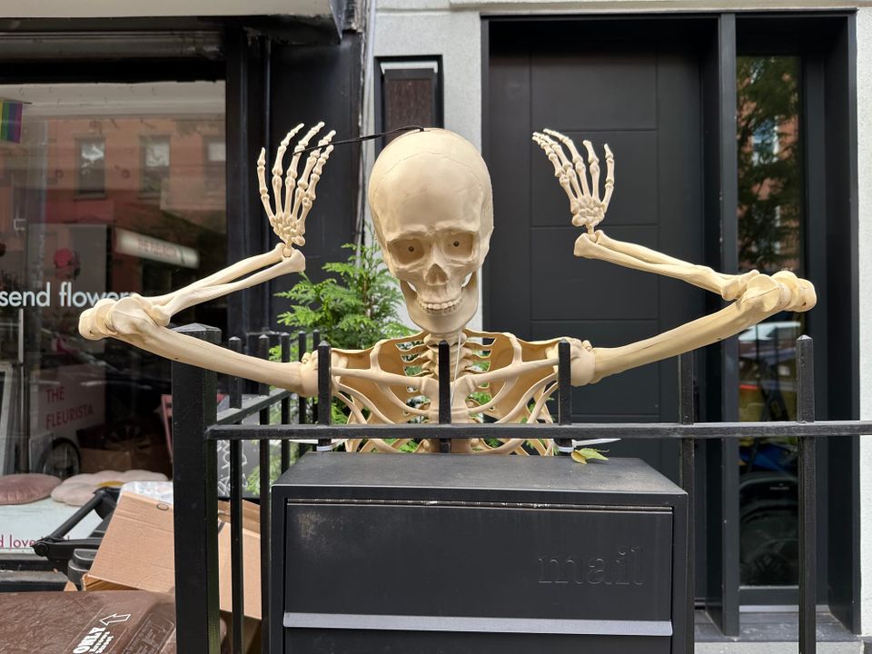 #149. A Lonely Skeleton and You