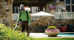 Pest Control
