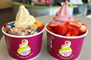 Frozen Yogurt