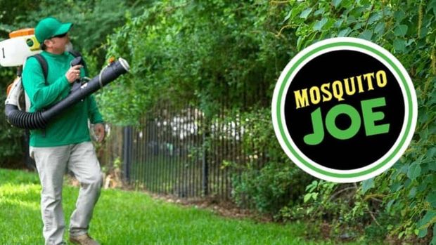 Mosquito Joe