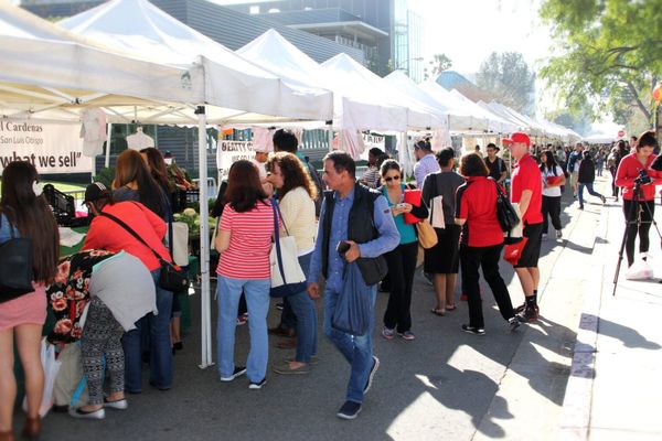CSUN Farmer's Market