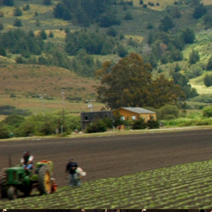a tractor on a farm