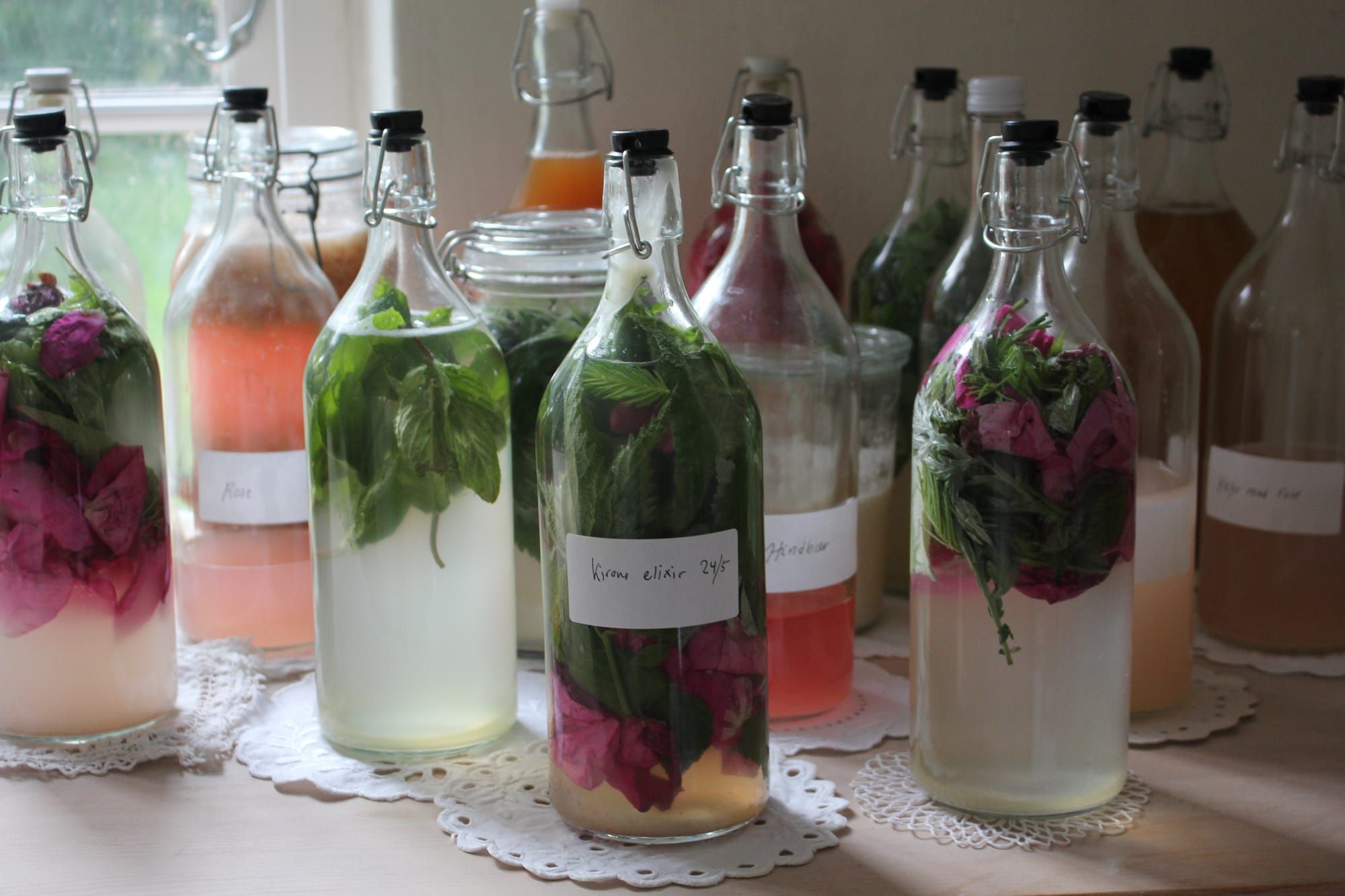 VILD FERMENTERING