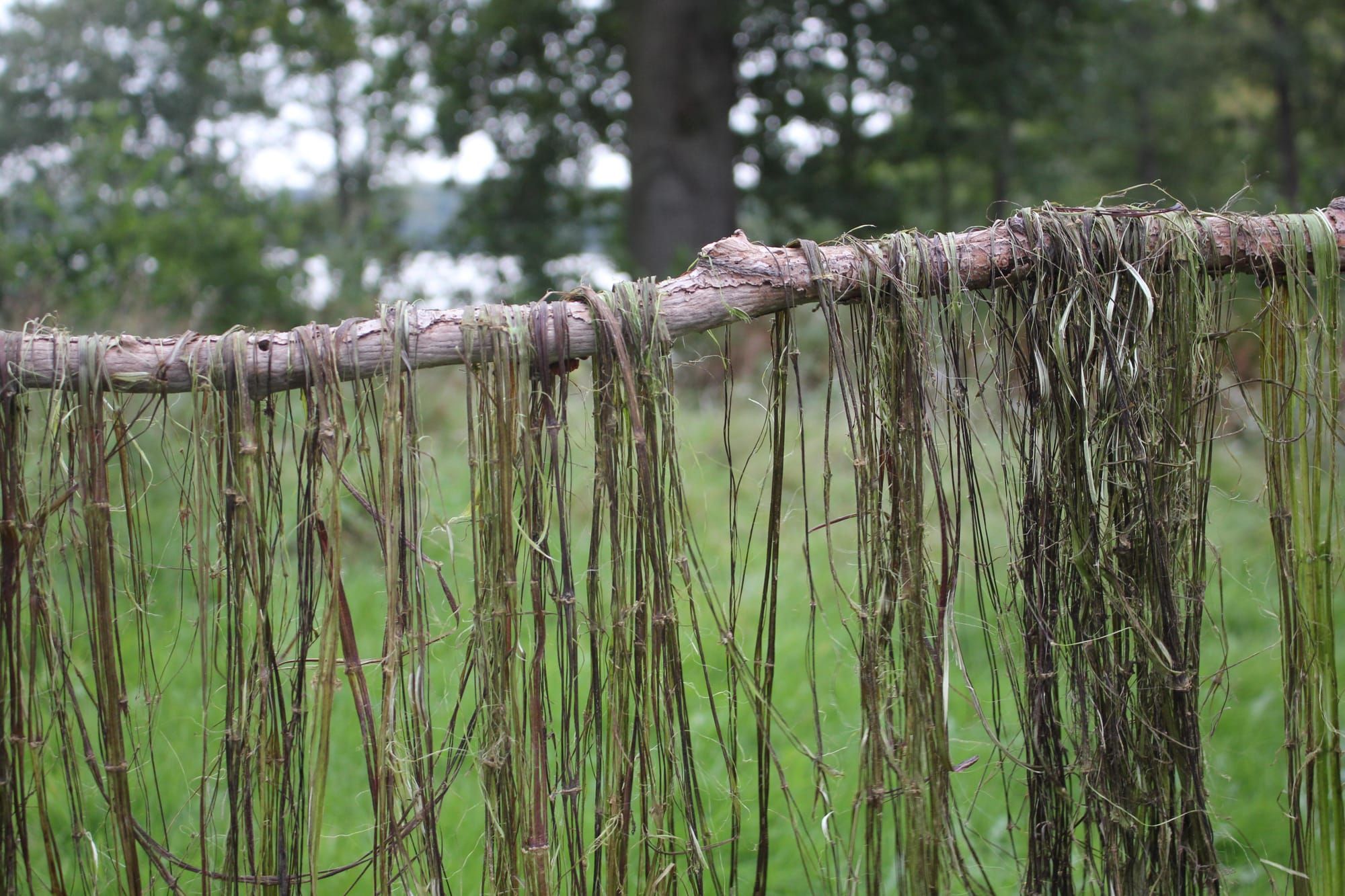 NETTLE FIBRE WORKSHOP