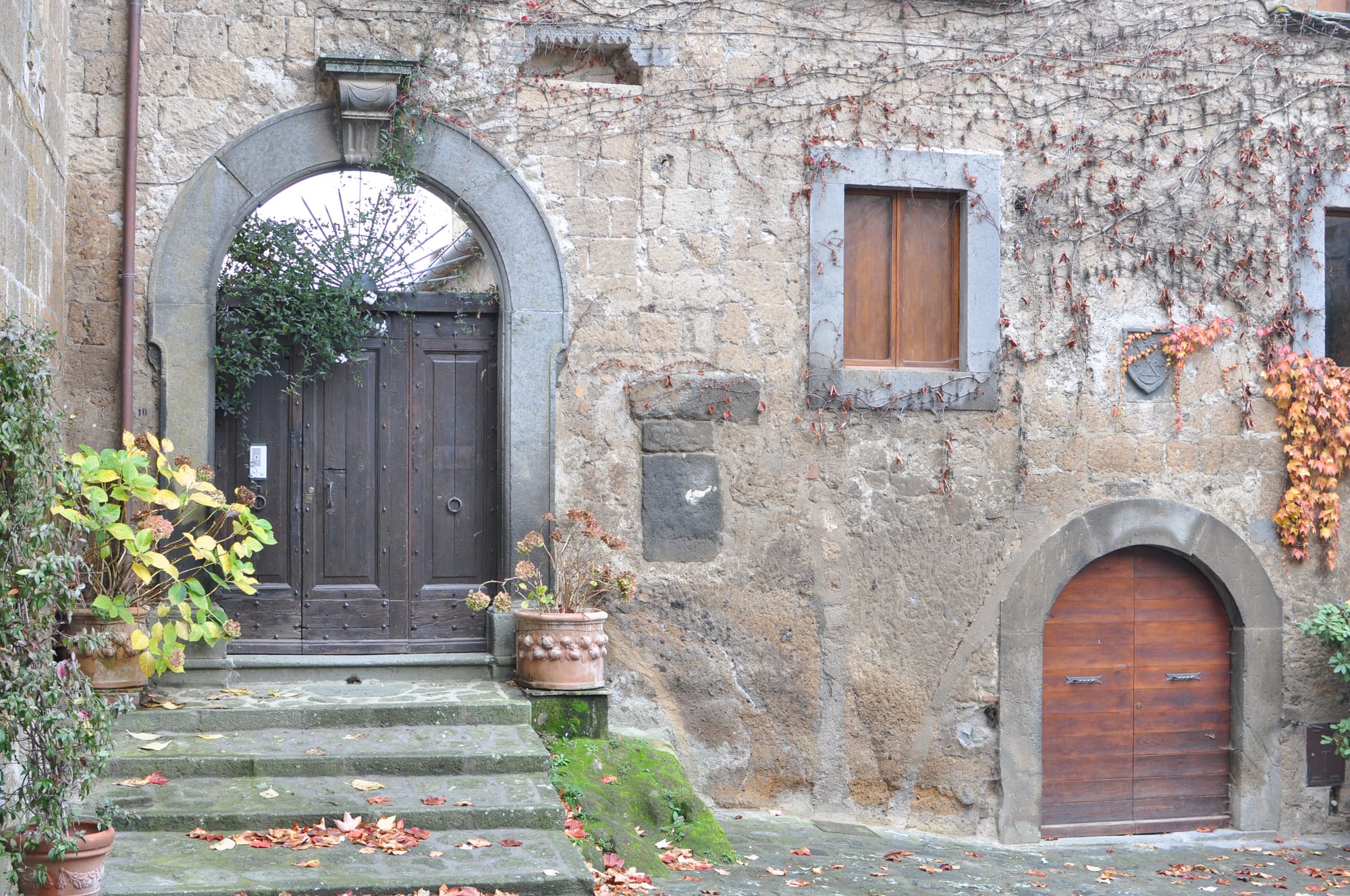 A rustic stone wall with a large arched wooden portal next to a smaller wooden door, accented by stone steps, potted plants, and creeping red ivy vines.