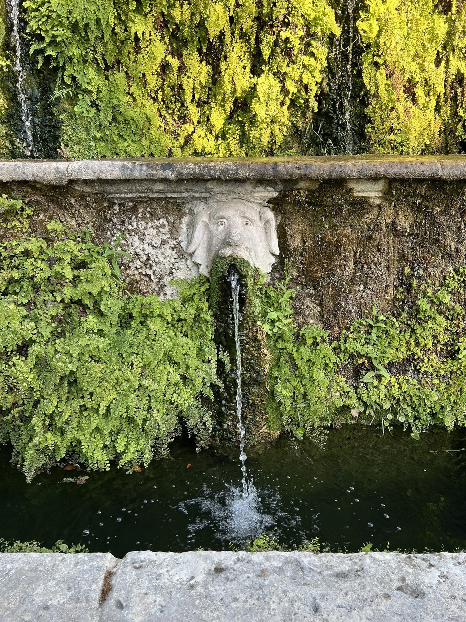 Stone mask spouting a thin jet of water among ferns and maidenhair, above a channel