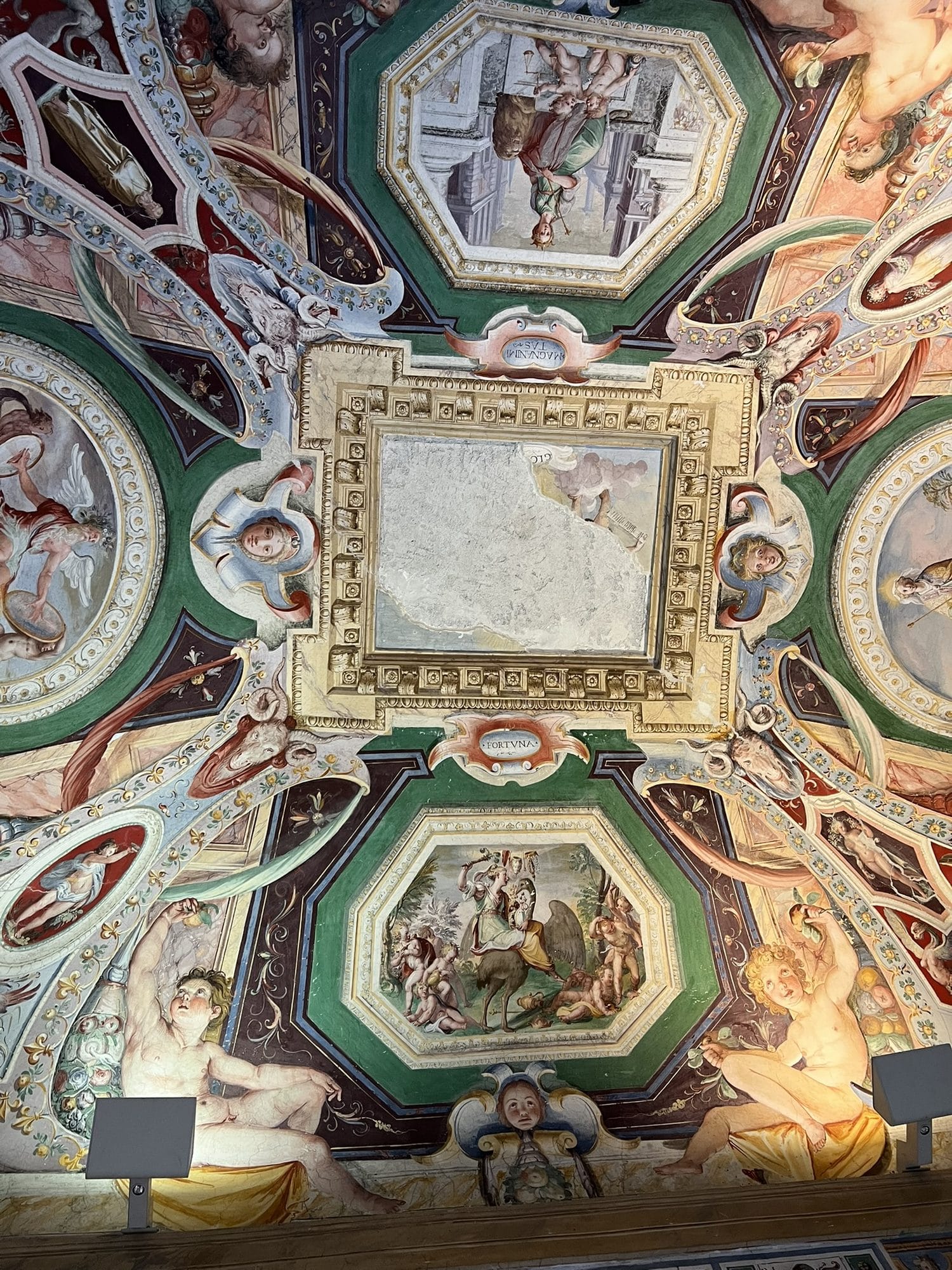 Frescoed vault with octagonal panels and allegorical figures around a central panel with no painting