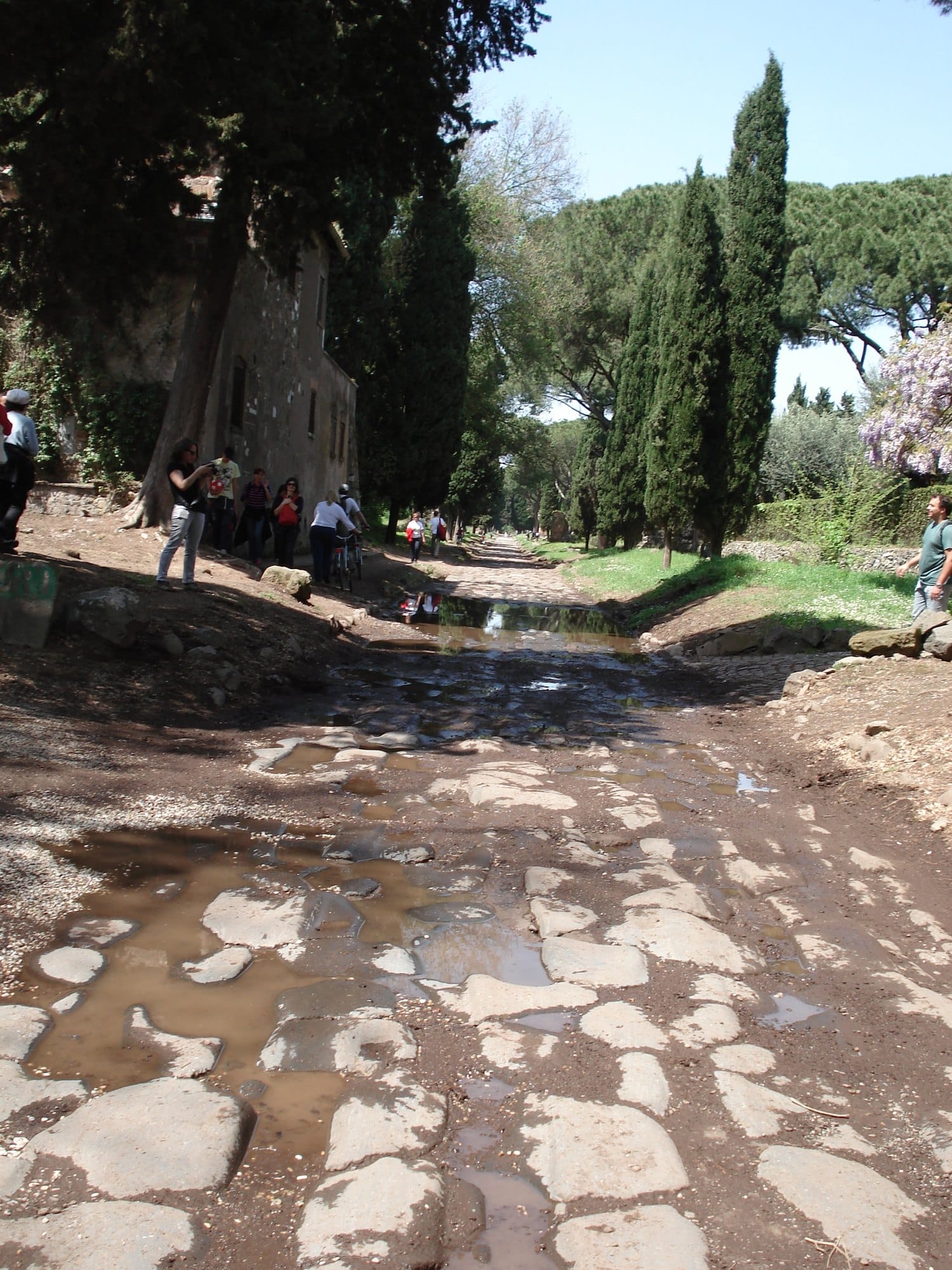 Worn polygonal paving stones of the Appian Way with muddy puddles between them, cypresses and umbrella pines along the road and people walking in the distance
