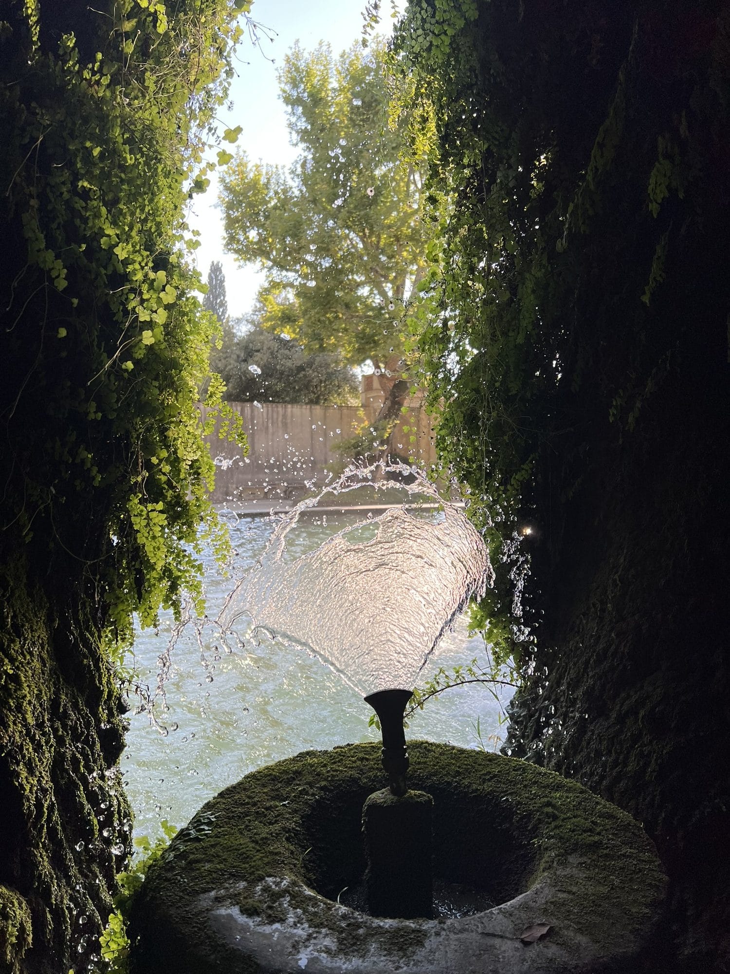 Jet of water backlit, seen from inside a shady spot between walls of vegetation