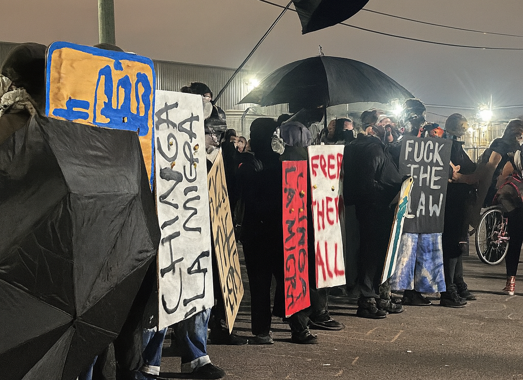 A line of protesters hold stiff signs in front of themselves as ICE agents prepare to attack.