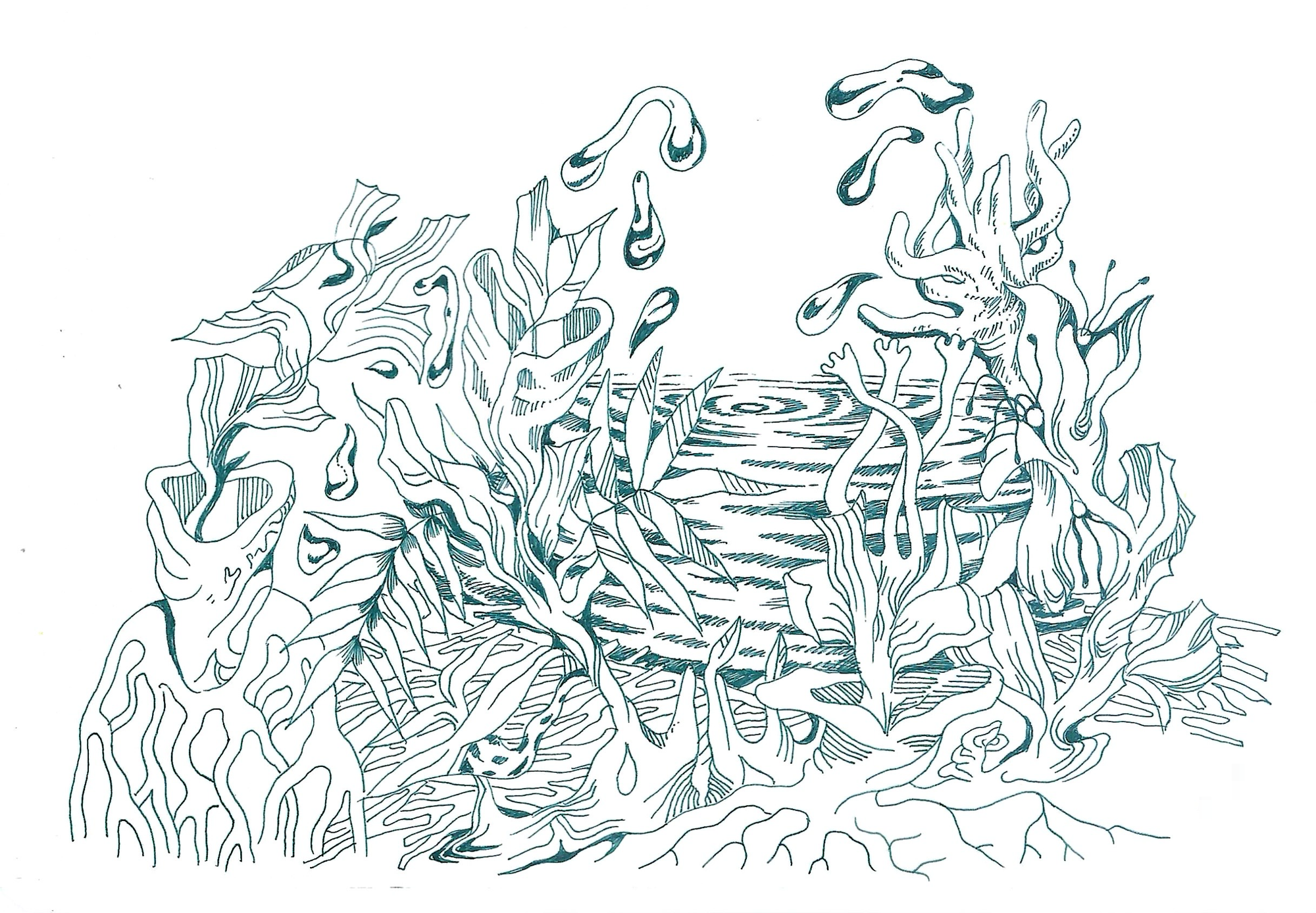 The Understory Toolkit