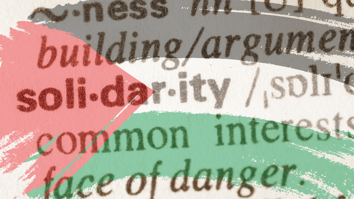 The word solidarity in a dictionary with a semi-transparent Palestinian flag superimposed over it.