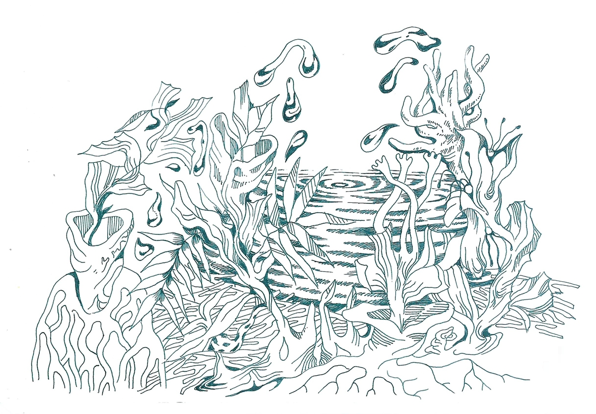 A drawing of wild mushrooms around a body of water