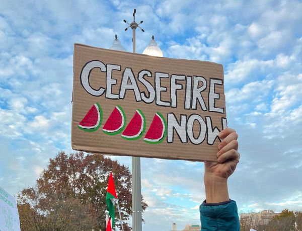 A hand holds a sign that cardboard sign that reads "Ceasefire NOW" alongside some painted watermelons.