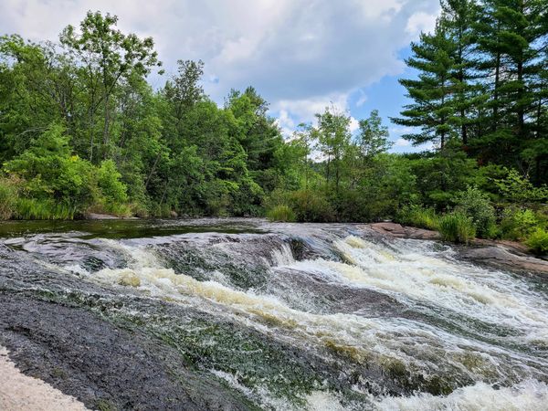 Must-Reads, Radical Care Work, and a Poem