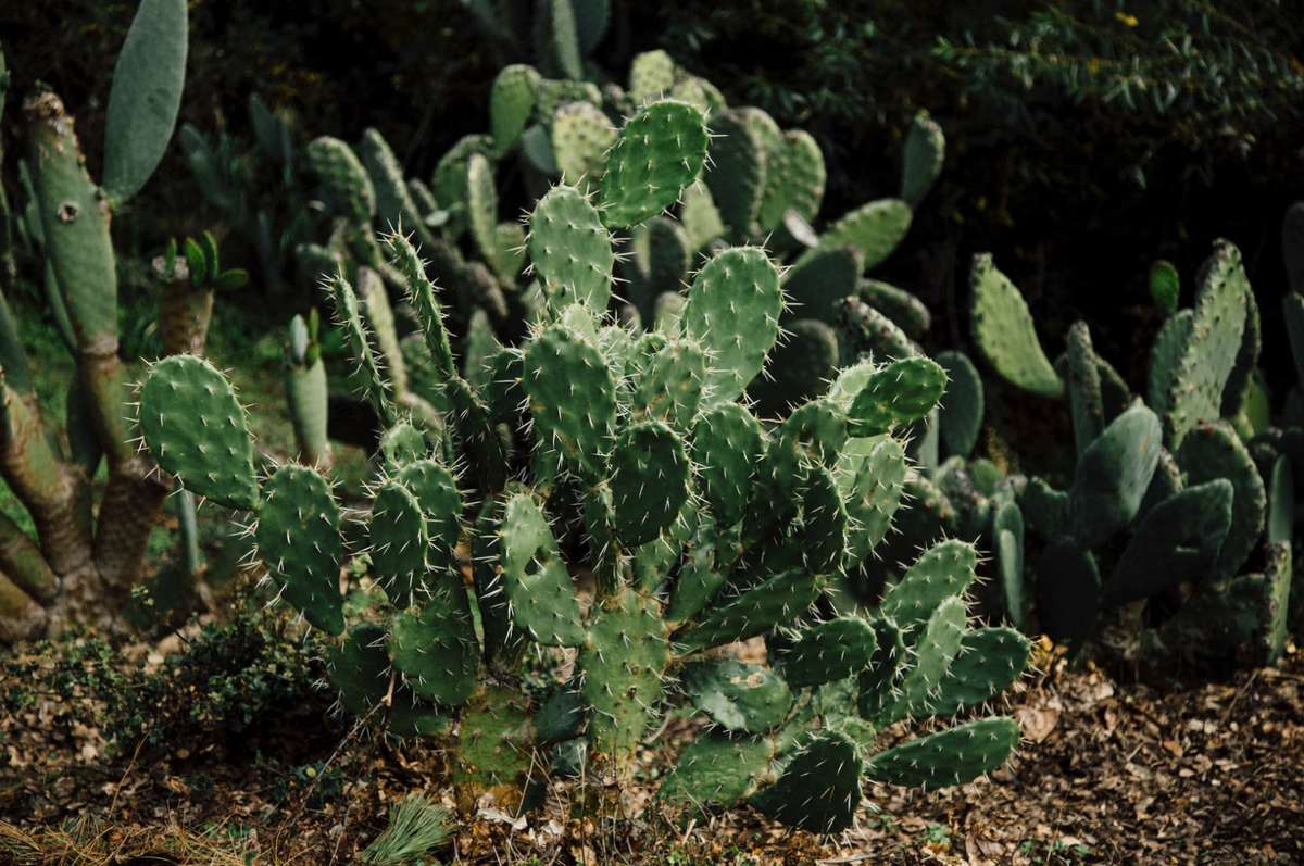 Virtuaalipalvelimen koventaminen ja suojaaminen Azuressa ihan oikeasti