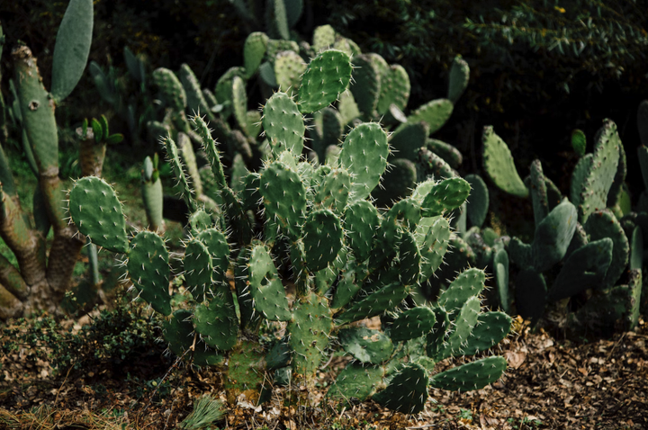 Virtuaalipalvelimen koventaminen ja suojaaminen Azuressa ihan oikeasti