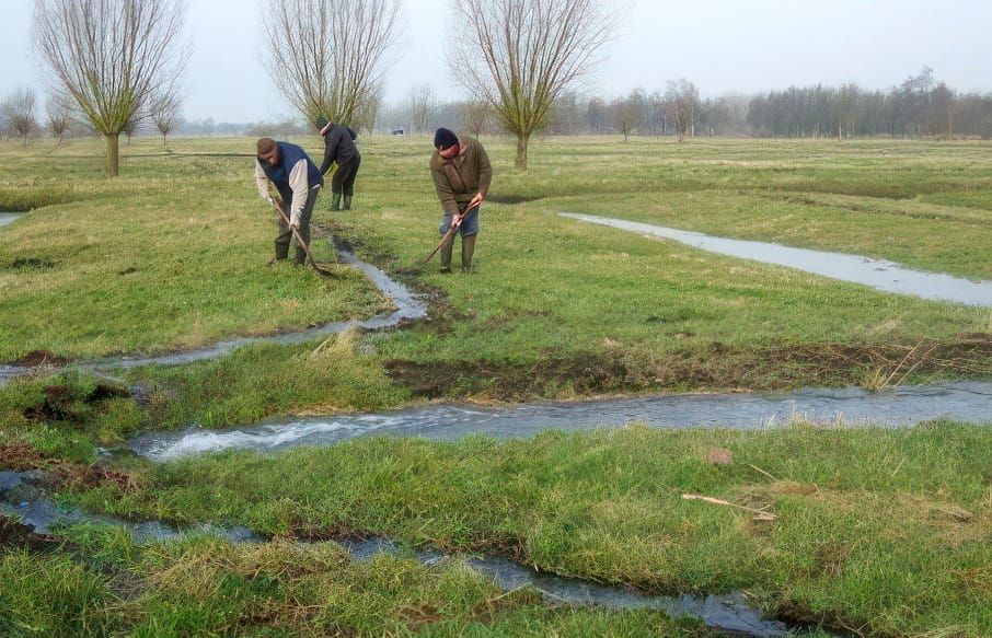 Activiteiten Natuurpunt tijdens Witterdagen