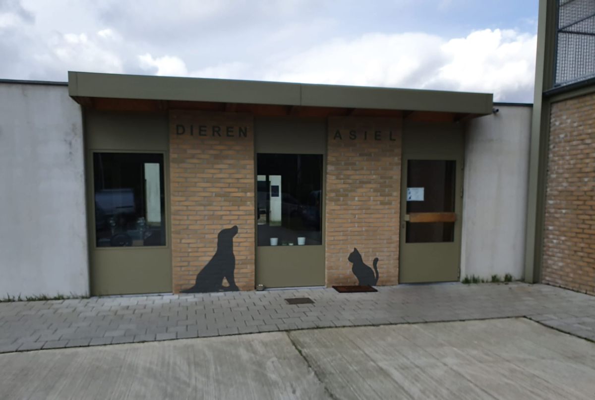 Kandidaten gezocht voor uitbating dierenasiel