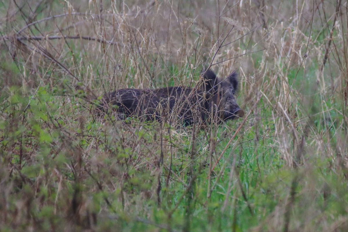 Natuur halfweg de week