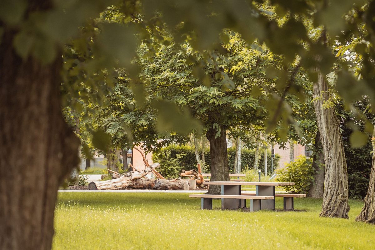 Wijkpark in Kolonie kreeg opwaardering