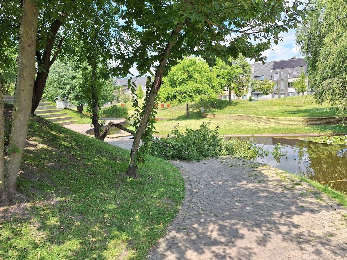 Vandalisme in het Astridpark