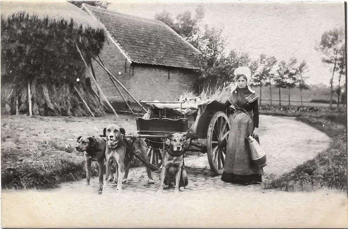 Met hond, paard en kar...