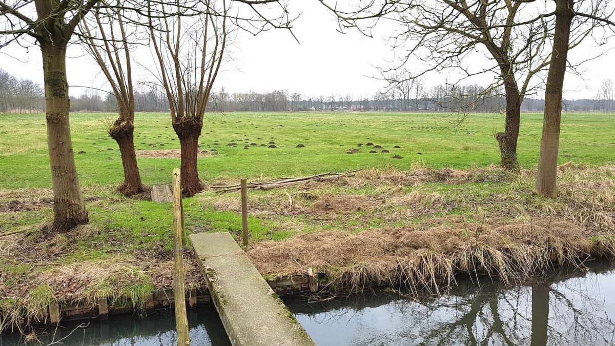 Vlaamse Ultima cultuurprijs 2024 voor o.a. het Witteren