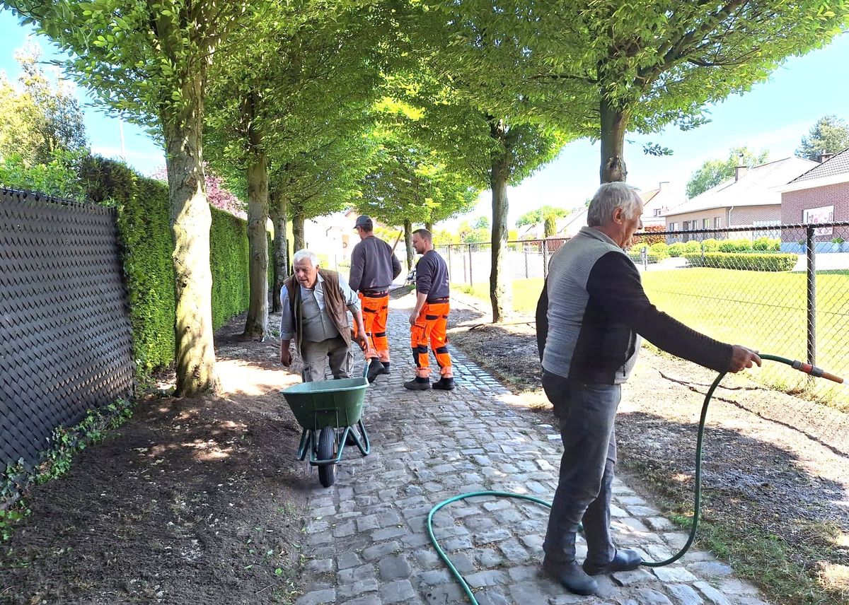 Aanleg bloemenweide