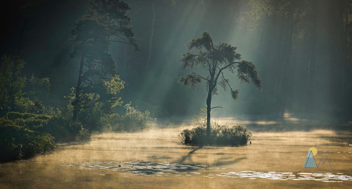 Zin in fotografie en natuur? Sluit je aan bij een nieuw groepje!