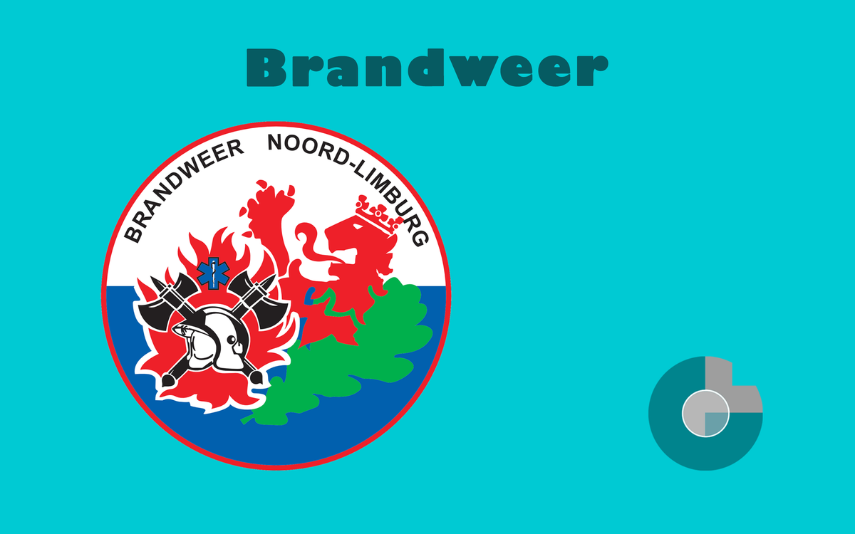 Mercedes in vlammen opgegaan