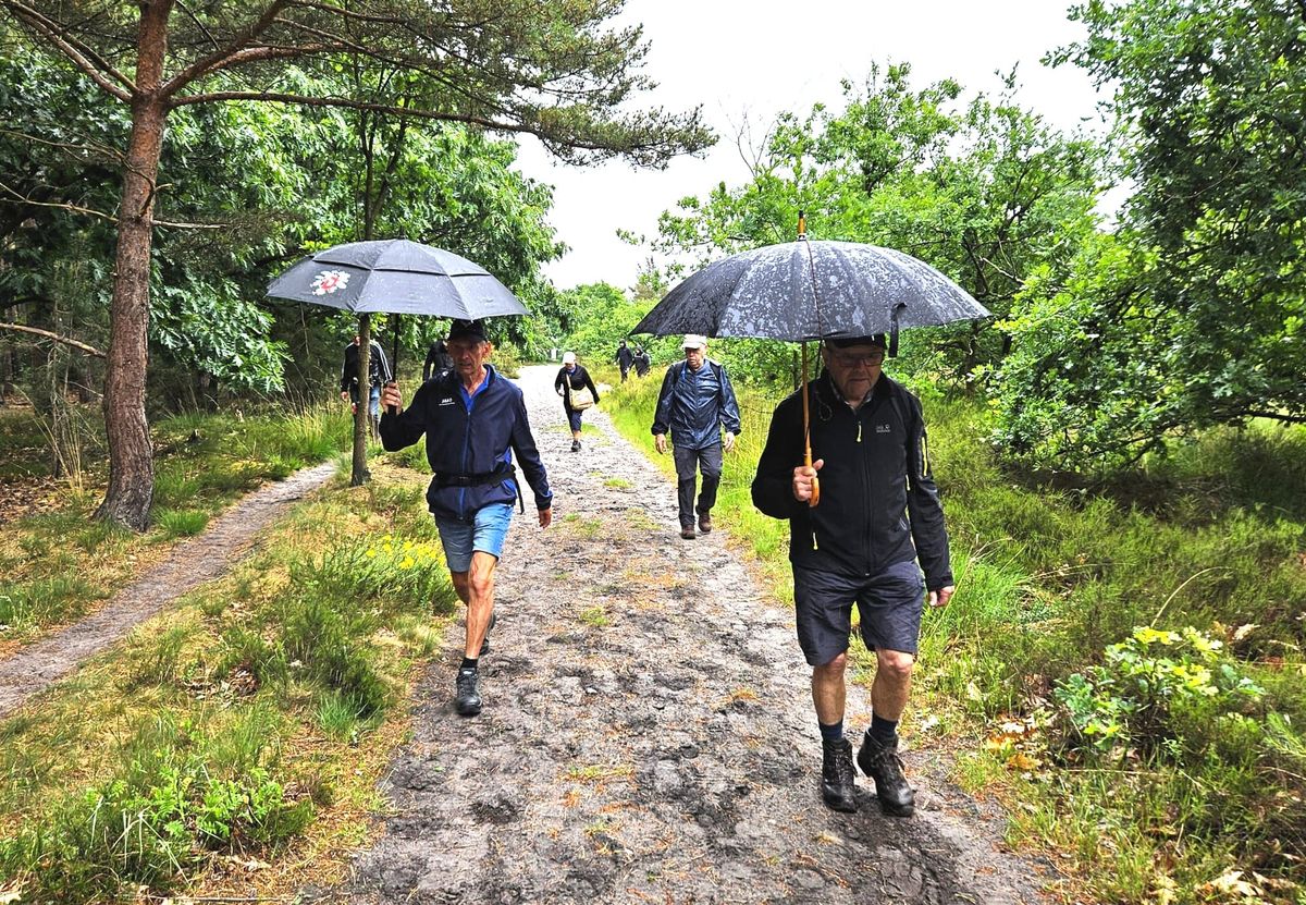 Limtrail over onverhard Trail parcour door nationaal park Bosland