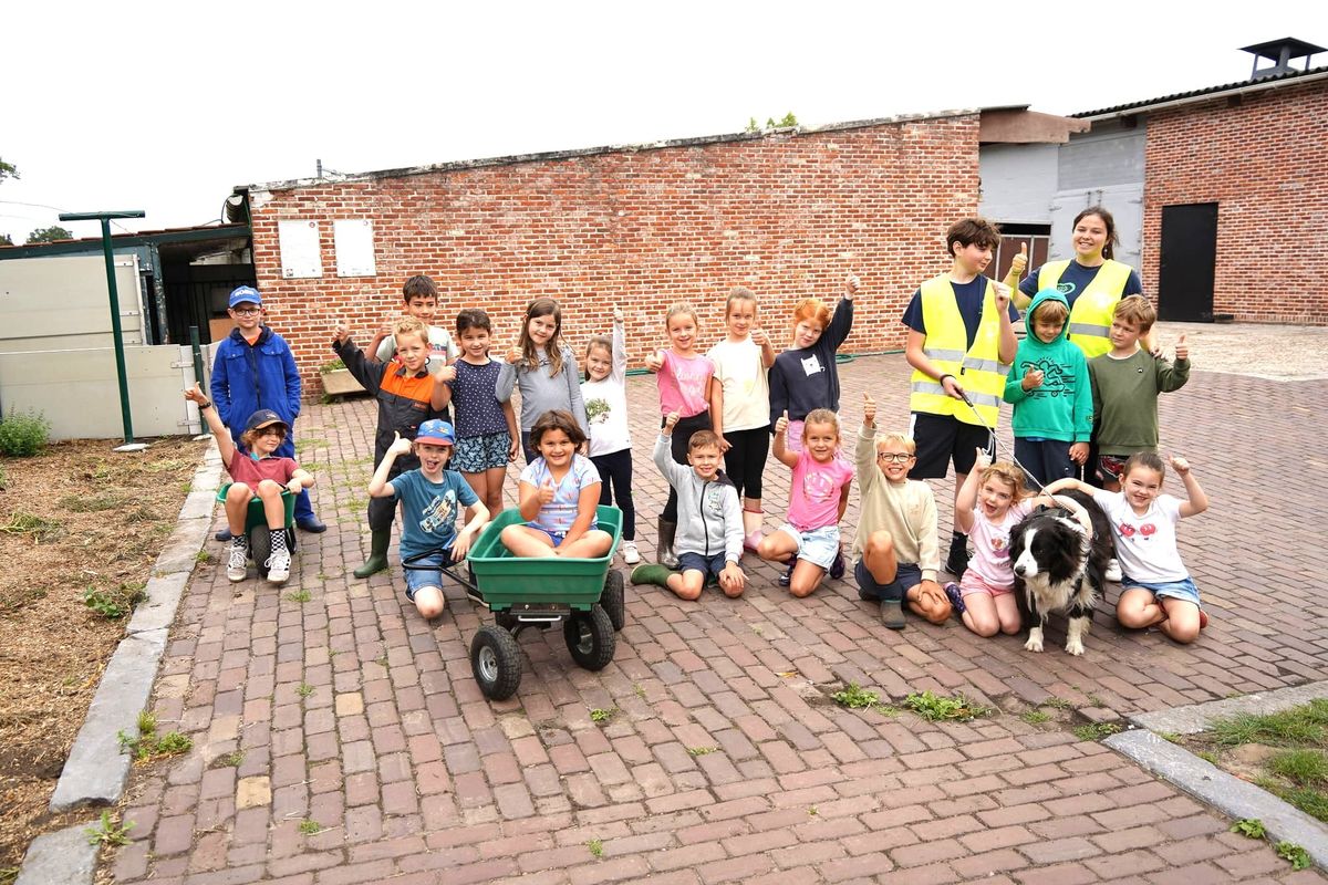 Kids leven zich uit op de boerderij