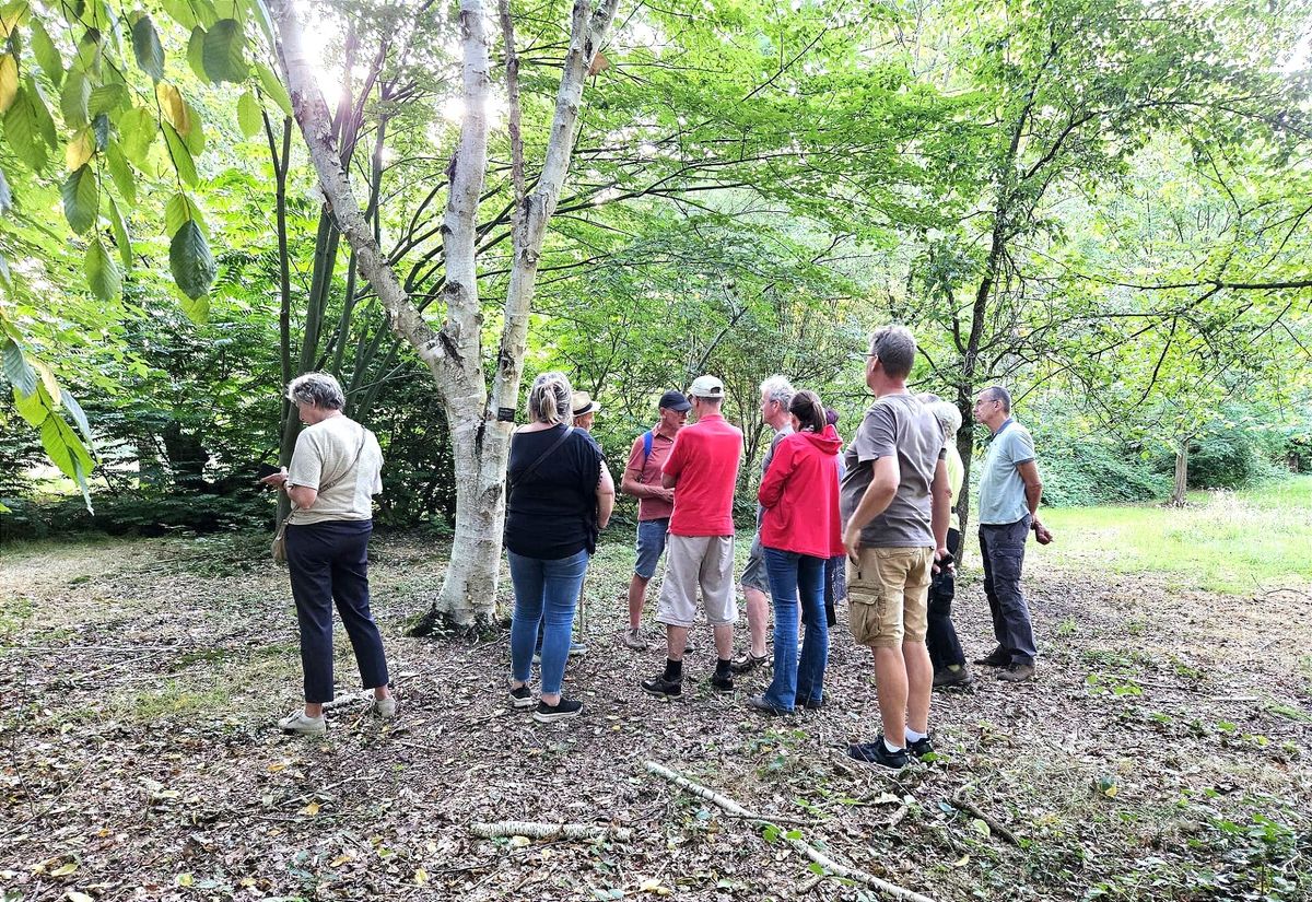 Avondwandeling in Den Tip