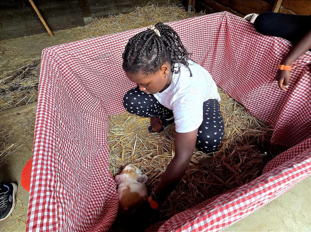 Zalige dag voor 'Talent(in)Huis-project' van Peter & Meter vzw